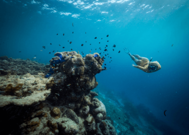 Ayada Maldives-Snorkelling