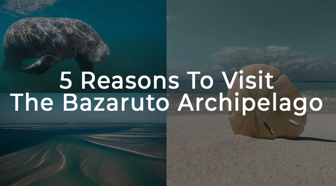 5 Reasons To Visit The Bazaruto Archipelago