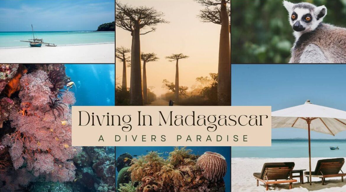 Diving in Madagascar