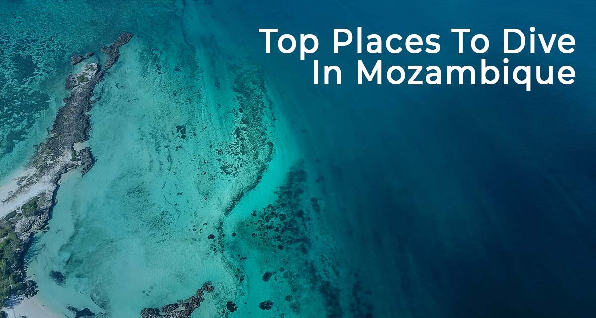 Top Places To Dive In Mozambique