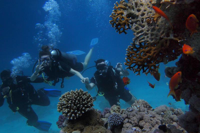 Why Scuba Diving Is Fun: 7 Reasons to Dive Into the Adventure