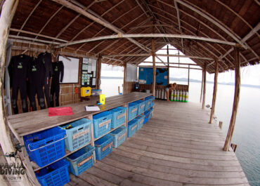 Sorido Bay-Dive Jetty