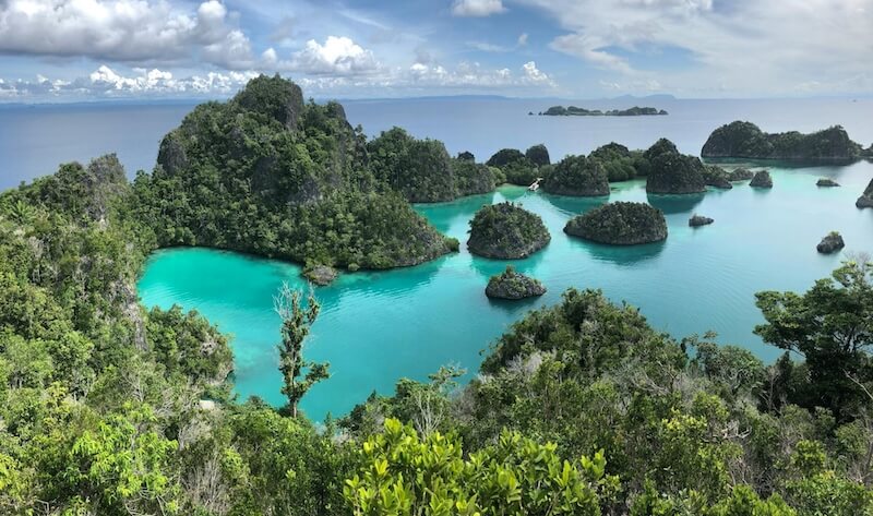 Diving In Raja Ampat